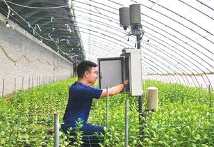 静海区气象局依托智能监测仪器 向农民提供服务