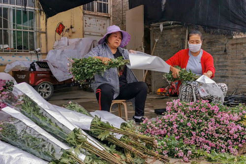 高清大图 瞰兴庆区西部花都新渠稍村